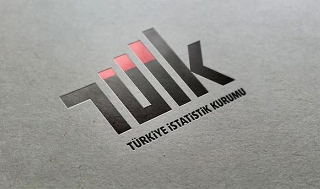 Türkiye İstatistik Kurumu (TÜİK) Başkanlığı, 5 sözleşmeli bilişim personeli alımı
