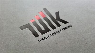 Türkiye İstatistik Kurumu (TÜİK) Başkanlığı, 5 sözleşmeli bilişim personeli alımı