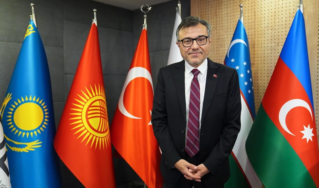 Cumhurbaşkanlığı Finans Ofisi Başkanı Prof. Dr. Göksel Aşan, "Türk Devletleri