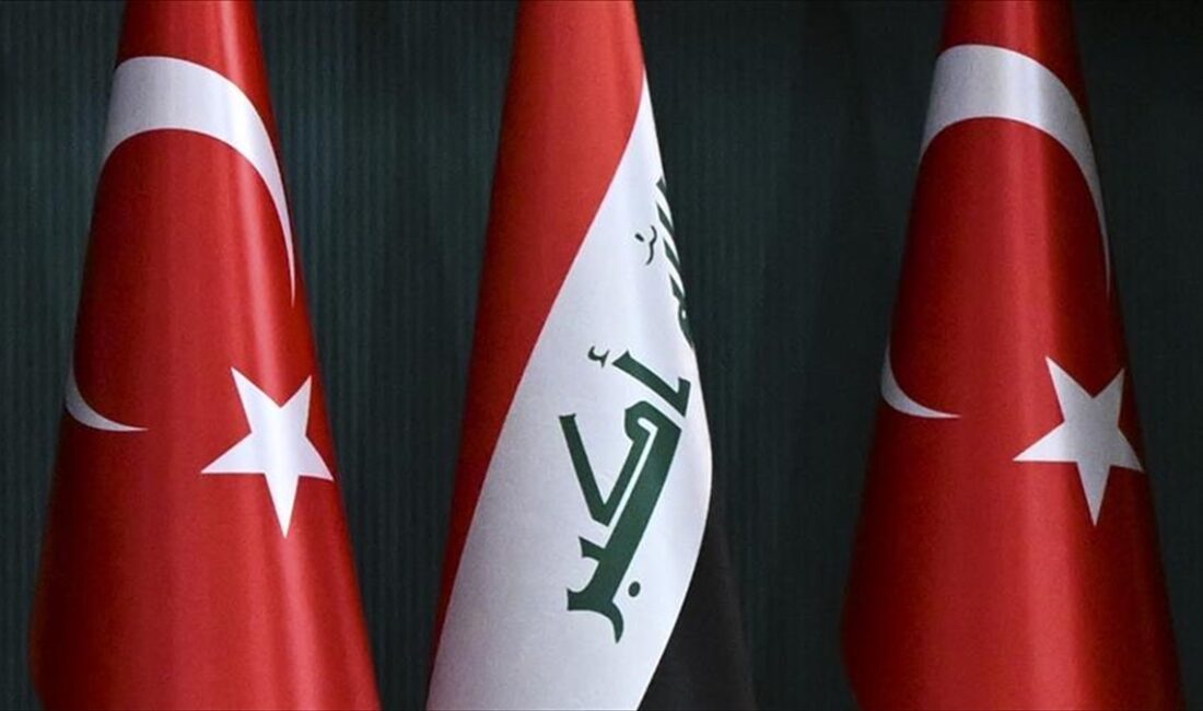 Türkiye'nin Kalkınma Yolu başta olmak üzere birçok projede işbirliği yaptığı