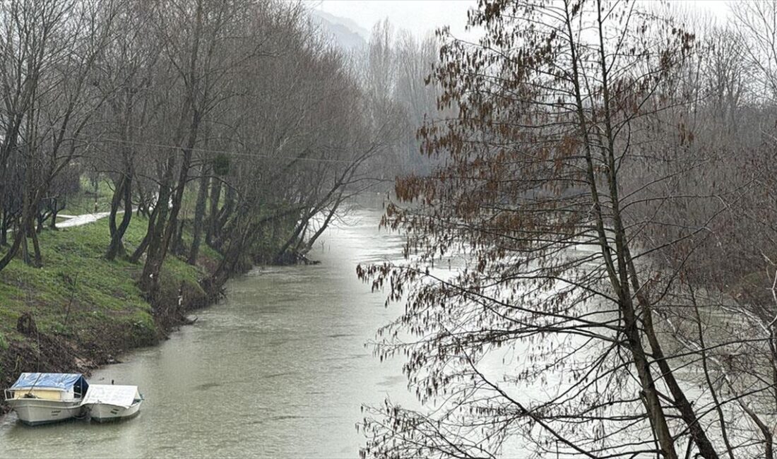 Tarım ve Orman Bakanlığı Su Yönetimi Genel Müdürü Afire Sever,