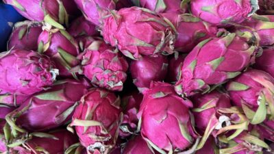 ANTALYA (AA) – HATİCE ÖZDEMİR TOSUN – Türkiye’nin tropikal meyve