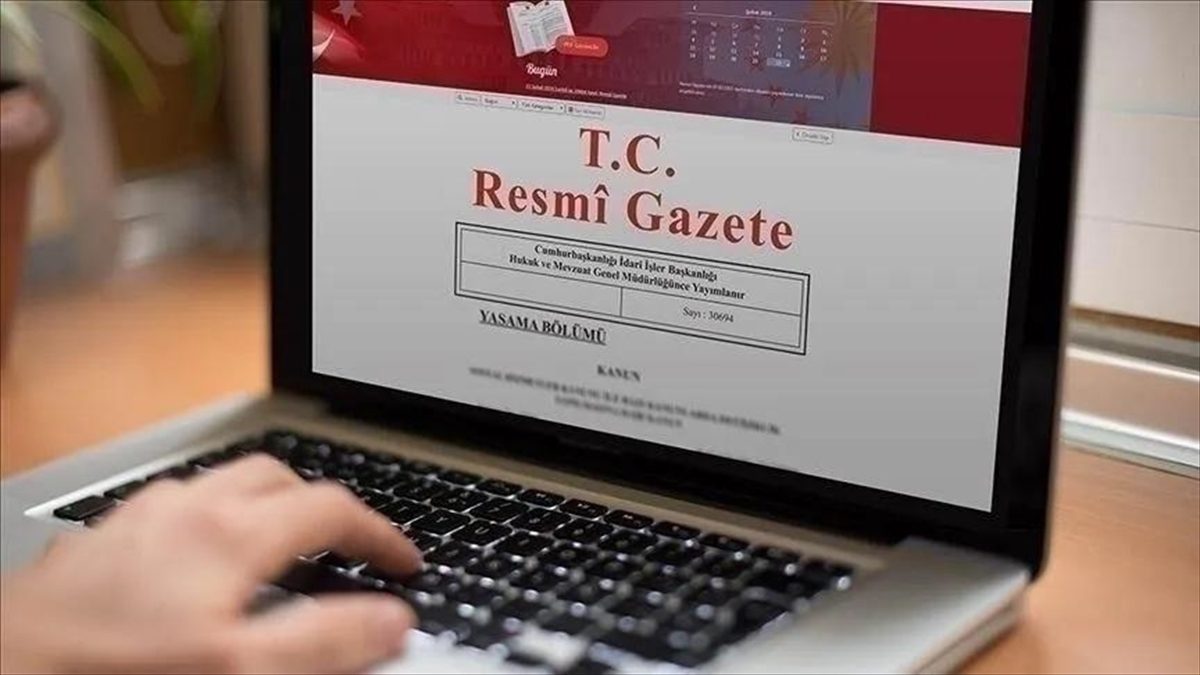 Uluslararası İşgücü Kanunu Uygulama Yönetmeliğinde Değişiklik Yapılmasına Dair Yönetmelik, Resmi