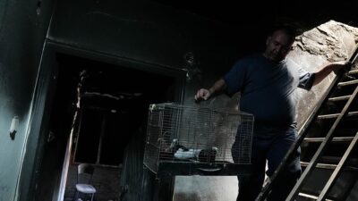 Evinde çıkan yangında hem yuvasını hem çok sevdiği güvercinlerini kaybeden