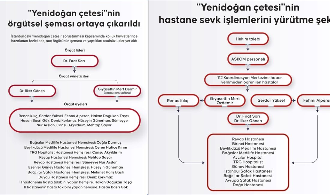 İstanbul'daki "yenidoğan çetesi" soruşturması kapsamında kolluk kuvvetlerince hazırlanan fezlekede, suç