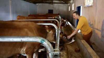 Giresun'da 2007'de geçirdiği rahatsızlık nedeniyle yüzde 59 yürüme engelli olan,