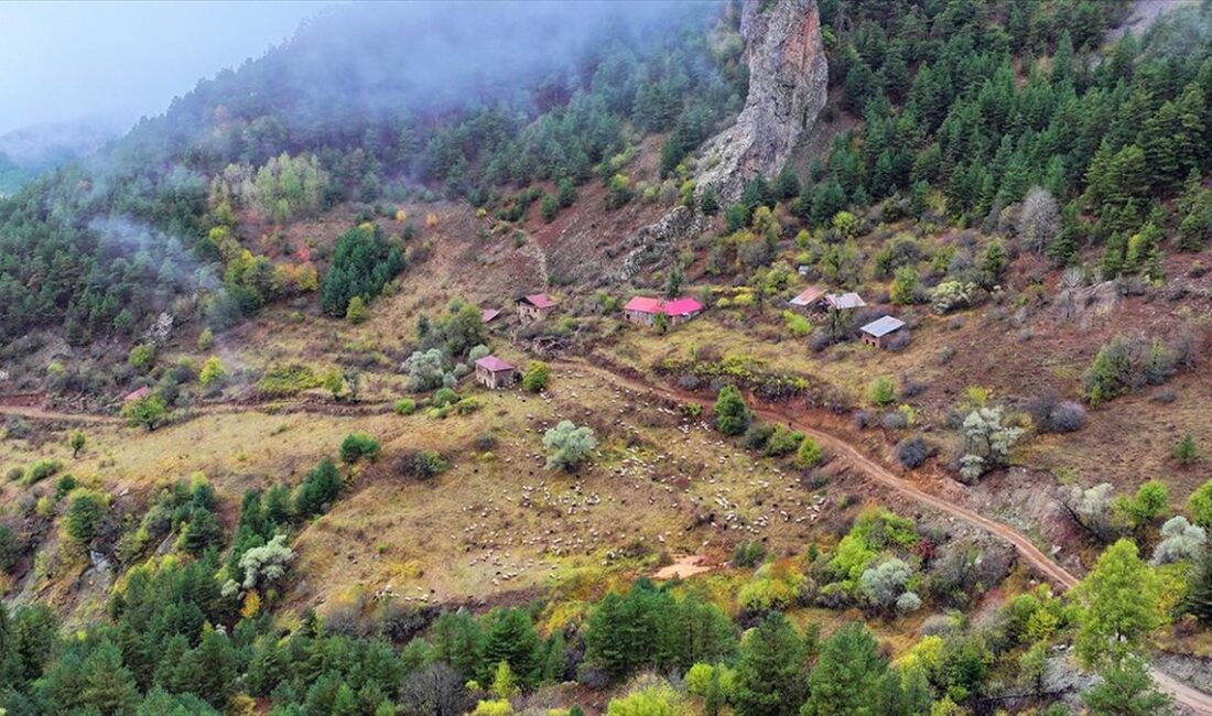 Doğu Karadeniz'i Doğu Anadolu'ya bağlayan önemli kara yolu güzergahlarından Zigana