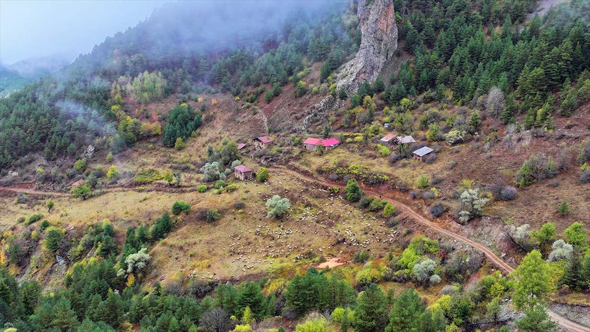 Doğu Karadeniz'i Doğu Anadolu'ya bağlayan önemli kara yolu güzergahlarından Zigana