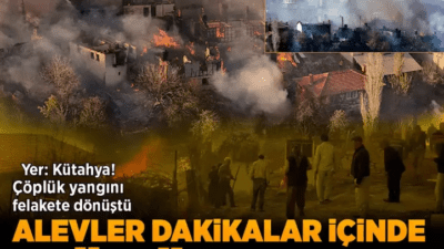 Kütahya'nın Tavşanlı ilçesinde bir köyde çıkan ve 10'dan fazla eve