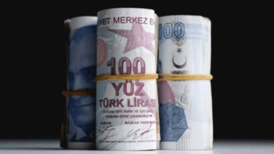 TL mevduatın toplam mevduat içindeki payının son yılların en yüksek