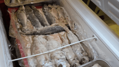 İzmir’de bir gıda deposuna Konak İlçe Tarım ve Orman Müdürlüğü