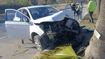 Manavgat’ta sürücüsünün direksiyon hakimiyetini kaybetmesi sonucu palmiyeye çarpan otomobilde bulunan