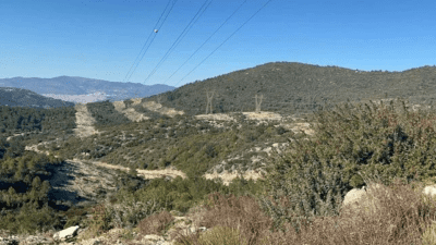 İzmir'in Bornova ilçesinde Rıfat E., av sırasında elindeki tüfeğin kazara