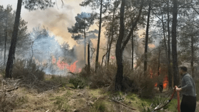 Antalya'nın Kemer ilçesinde orman yangını çıktı. Yangın, yaklaşık 2 saatlik