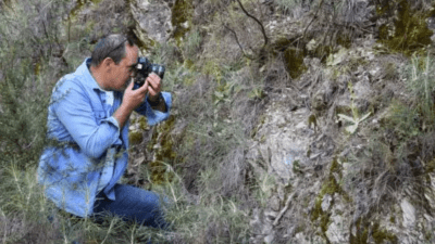 Antalya'nın Kemer'deki Beydağları Sahil Milli Parkı'nda, bu bölgeye özgü bitki