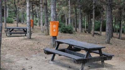 İstanbul Valiliği, orman yangınlarına karşı alınan tedbirleri duyurdu. Buna göre,