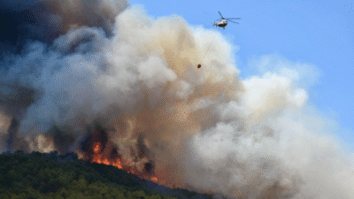 Adalet Bakanı Tunç, Eskişehir Seyitgazi'de çıkan orman yangınıyla ilgili Eskişehir