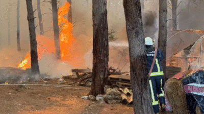 Hava sıcaklığının 46,1 dereceye ulaşmasıyla 95 yılın temmuz ayı sıcaklık