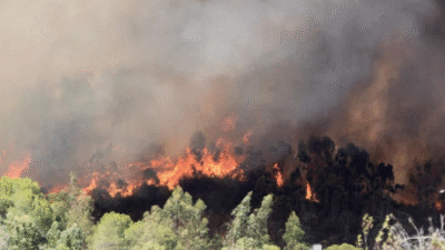 İstanbul Valisi Davut Gül orman yangınlarına ilişkin İstanbul'da alınan tedbirleri