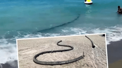 Antalya'nın Gazipaşa ilçesinde kirlilikle gündeme gelen ve şikayet sonrası incelemenin