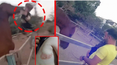 Antalya’nın Konyaaltı ilçesinde, 3 yaşındaki çocuk babasının kucağındayken at tarafından