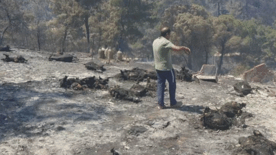 ) – Çanakkale’de çıkan orman yangını, Vanlı Kürt ailenin 20