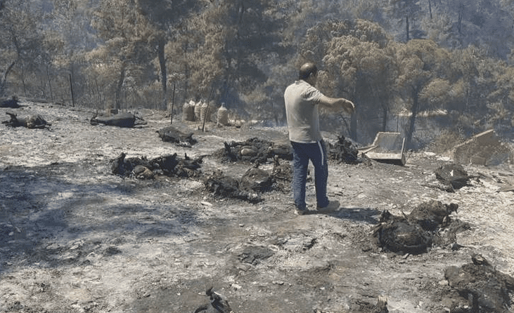 ) – Çanakkale’de çıkan orman yangını, Vanlı Kürt ailenin 20