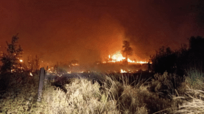 Antalya’nın Serik ilçesinde tarım arazisinde başlayıp ormana yayılan yangın, ekiplerin