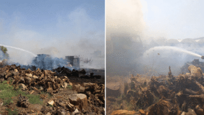 Antalya'nın Kepez ilçesinde sera alanında çıkan yangının sıçradığı 2 kamyonet