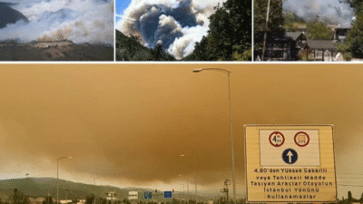 Orman yangınlarıyla mücadele sürüyor. Kocaeli, Bursa ve Osmaniye'de ekipler alevlere