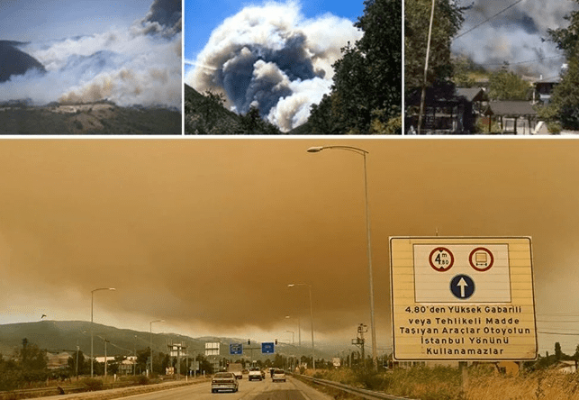 Orman yangınlarıyla mücadele sürüyor. Kocaeli, Bursa ve Osmaniye'de ekipler alevlere