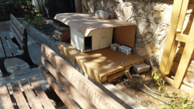 Antalya’da cami avlusunda bulunan mahalle sakinleri ve cemaatin bakımını yaptığı