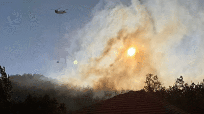 Tarım ve Orman Bakanı İbrahim Yumaklı, "Muğla Köyceğiz, Antalya Alanya