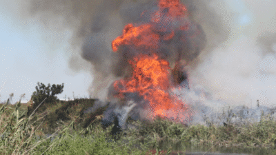 ANTALYA'da Düden Çayı kanal boyundaki sazlıkta çıkan yangını, bölge halkı,