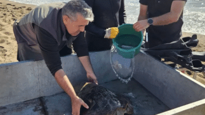 Antalya İl Emniyet Müdürlüğü’ne bağlı dağlıç polisler olta iğnesi saplanan