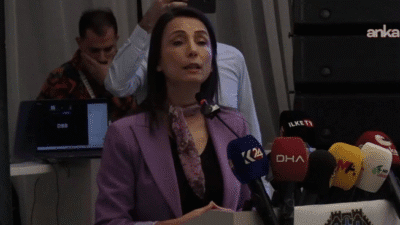 DEM Parti Eş Genel Başkanı Tülay Hatimoğulları, "Bu süreç hiç