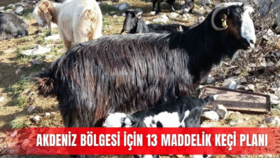 Antalya Tarım Konseyi, Antalya Ticaret Borsası, Antalya İl Tarım ve