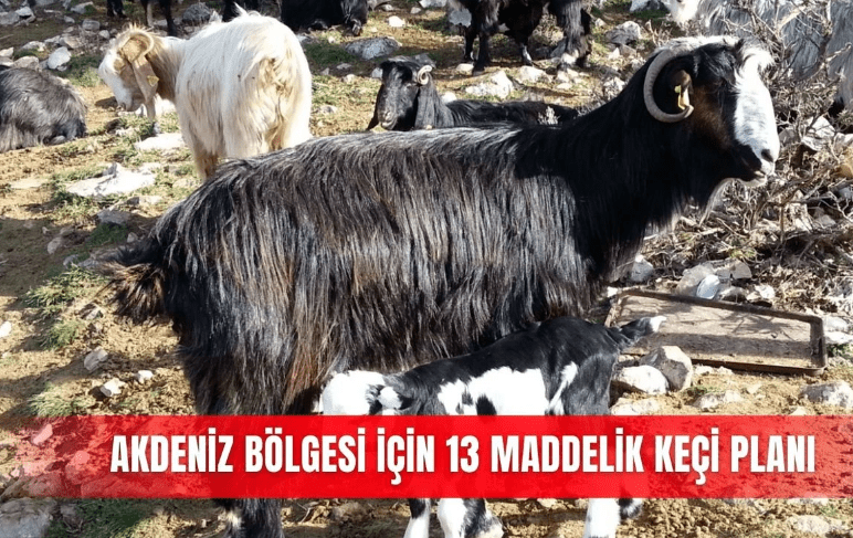 Antalya Tarım Konseyi, Antalya Ticaret Borsası, Antalya İl Tarım ve