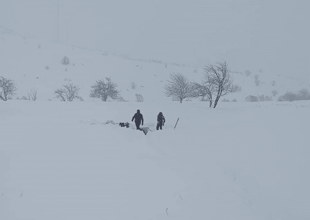 Kar ve fırtına çok sayıda ilde eğitime engel oldu: Van, Bitlis ve Zonguldak dahil birçok kentte okullar tatil Türkiye genelinde etkili olan yoğun kar yağışı ve olumsuz hava