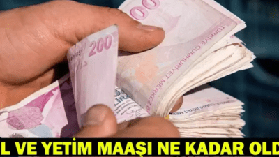 Milyonlarca SSK ve Bağ-Kurlu dul ve yetimin aylıklarını ilgilendiren zam