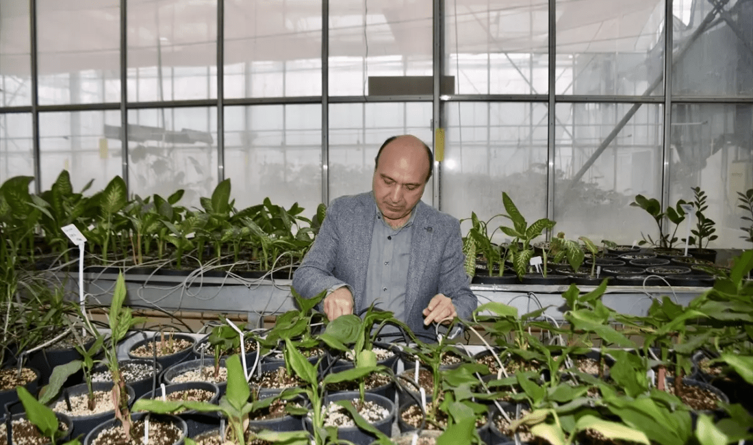 Antalya COP31’de Tarım Teknolojileri Öne Çıkacak ASETAM Müdürü Çağlayan, Antalya'nın COP31 ile sera teknolojileri açısından bir