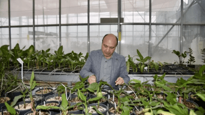 ASETAM Müdürü Çağlayan, Antalya'nın COP31 ile sera teknolojileri açısından bir