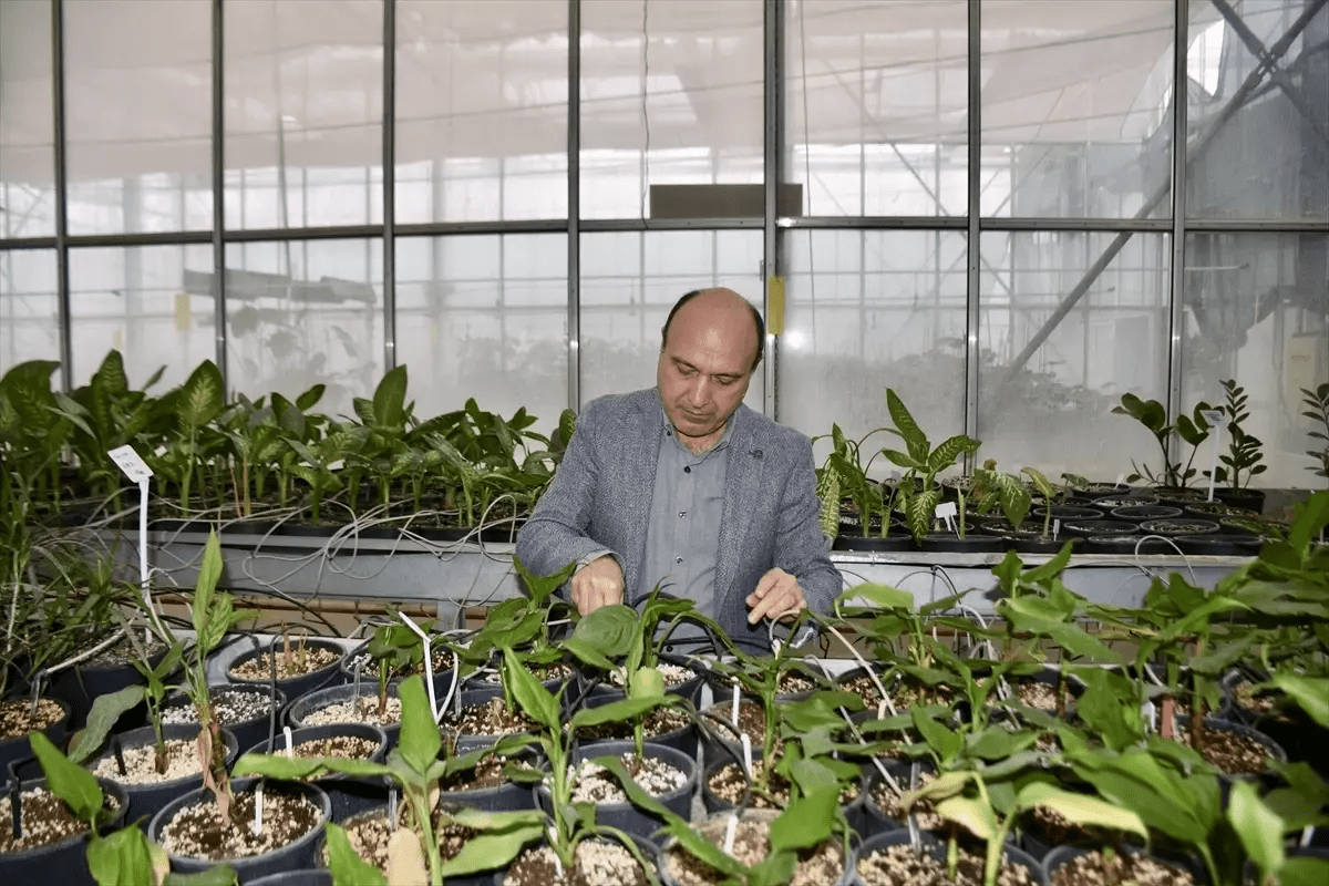 ASETAM Müdürü Çağlayan, Antalya'nın COP31 ile sera teknolojileri açısından bir