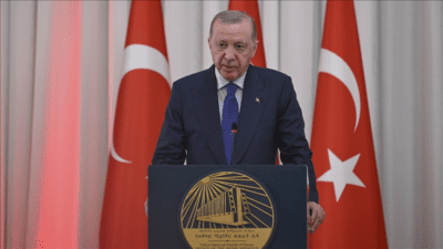 Cumhurbaşkanı Erdoğan, "(Etiyopya) 200'ü aşkın firmamızın 2,5 milyar doları bulan