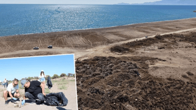 Antalya'da nesli tehlike altındaki caretta carettaların yuvalama alanı Kumköy Sahili'nde