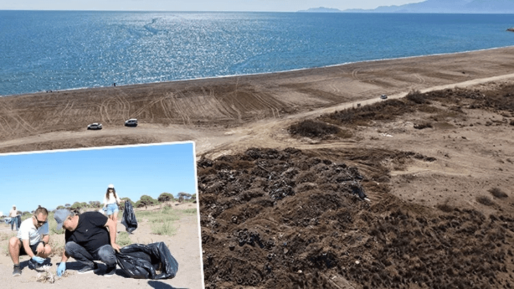 Antalya'da nesli tehlike altındaki caretta carettaların yuvalama alanı Kumköy Sahili'nde