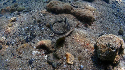 Antalya Büyükşehir Belediyesi, yaz aylarına sayılı günler kala deniz temizliğinde