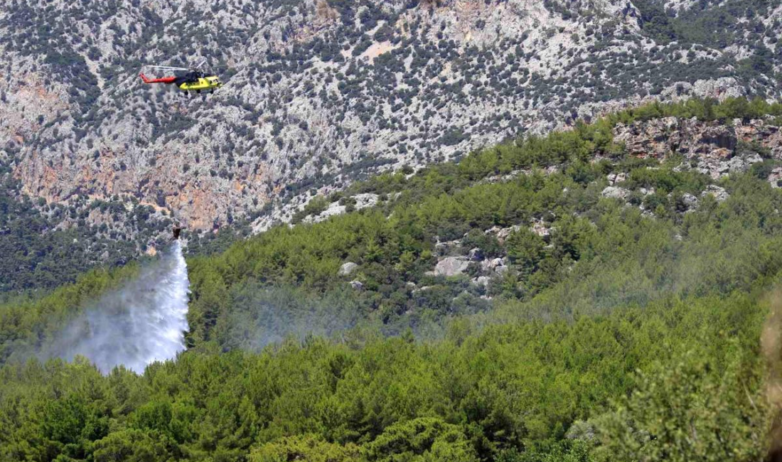 Konyaaltı'ndaki orman yangını, itfaiye ve orman ekiplerinin müdahalesi ile kontrol