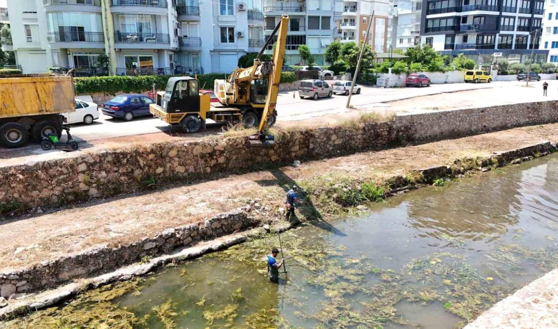 Antalya Büyükşehir Belediyesi ASAT, sivrisinek ve taşkın riskine karşı Konyaaltı