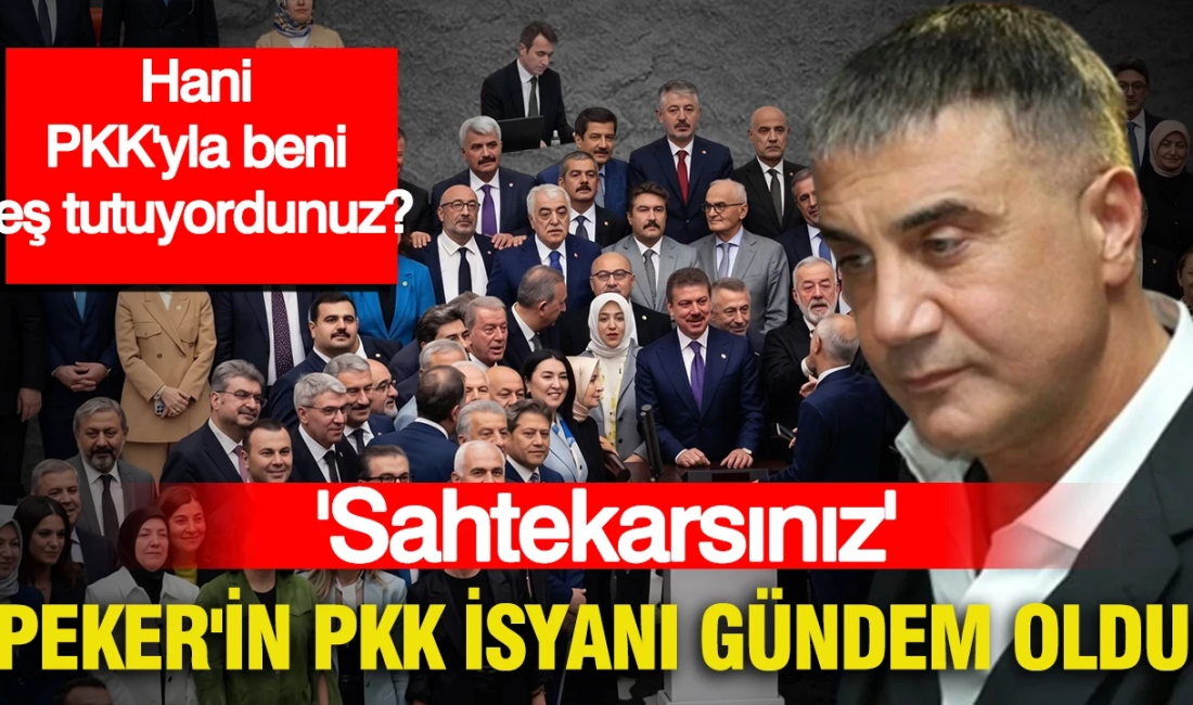Türkiye Büyük Millet Meclisi'nde kabul edilen kamuoyunda "Terörsüz Türkiye" yasası